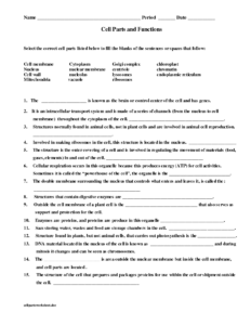 11 Cell Function Worksheets 6th Grade Worksheeto