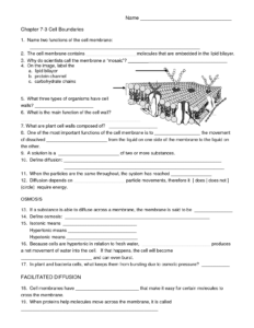 18 Biology Worksheets With Questions Worksheeto