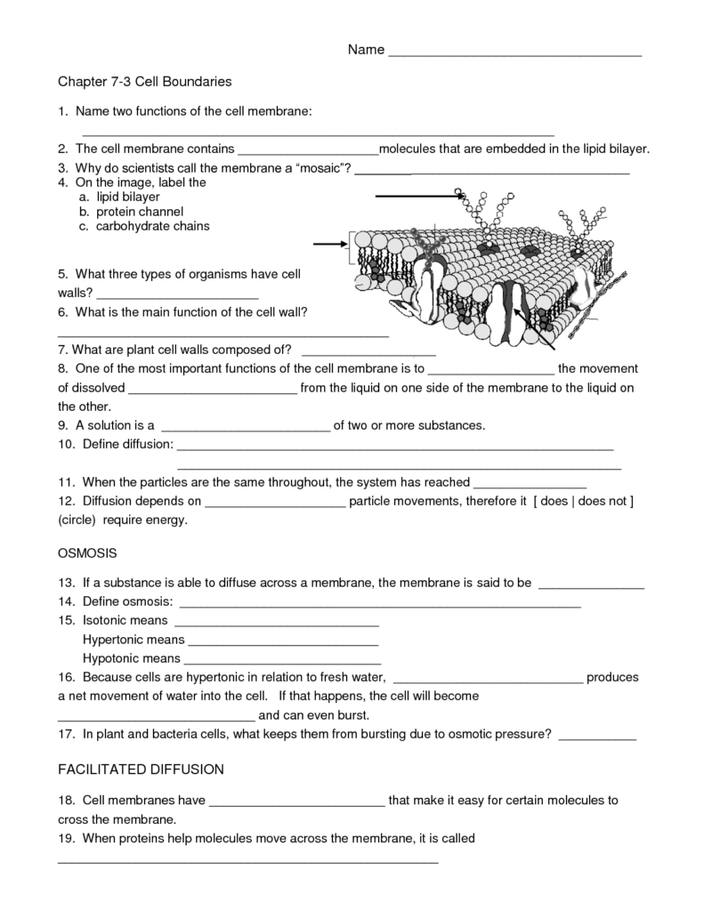 18 Biology Worksheets With Questions Worksheeto