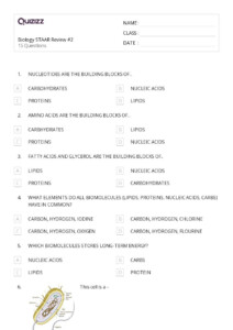 50 Plant Biology Worksheets On Quizizz Free Printable Worksheets