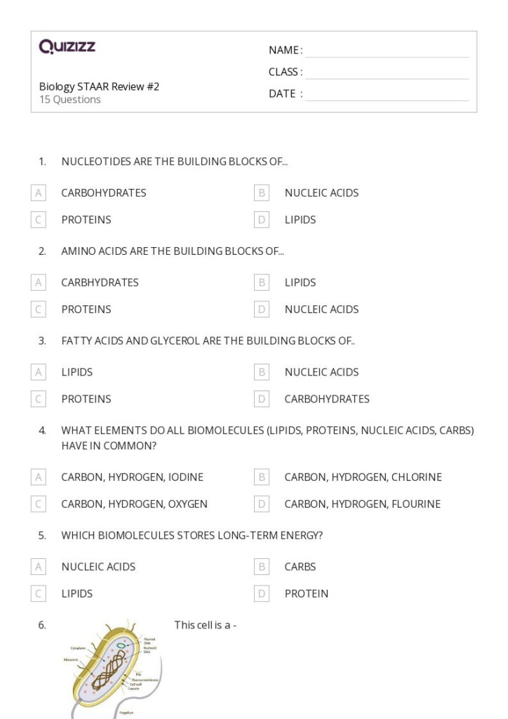 50 Plant Biology Worksheets On Quizizz Free Printable Worksheets 