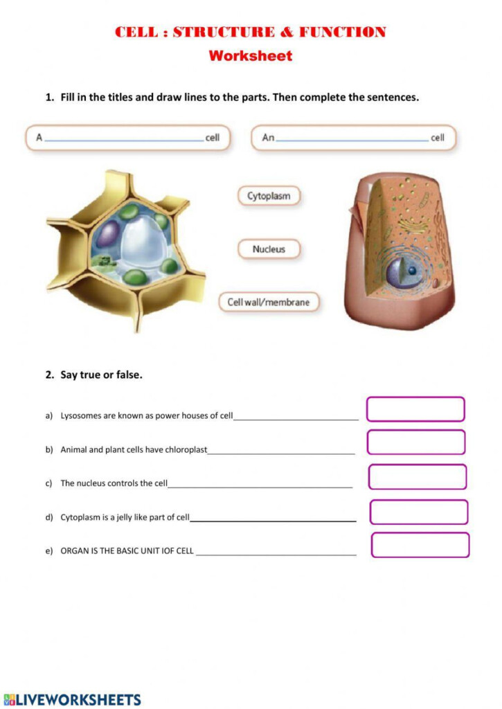 Cell Structure Function Worksheet Live Worksheets Worksheets Library