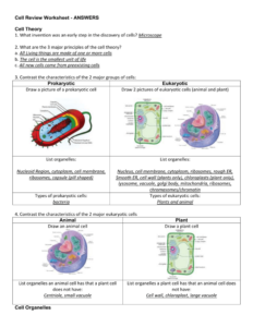 Cell Theory Activity Worksheet