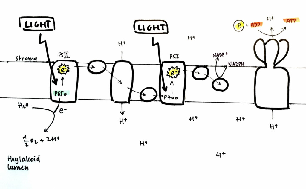 IMAT 2015 Q27 Photolysis Past Papers Solutions Archives 