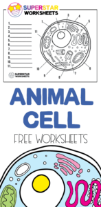 Label The Animal Cell Worksheets