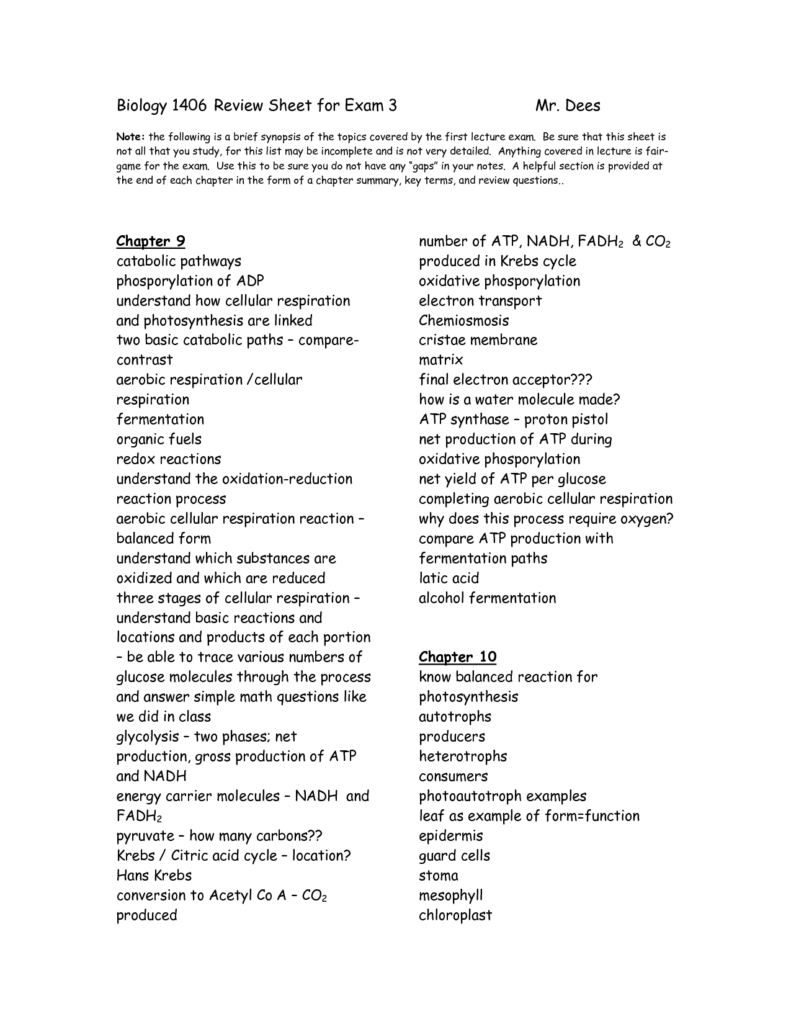 Photosynthesis Diagram Worksheets Answer Key