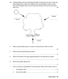 Photosynthesis Graph Worksheets