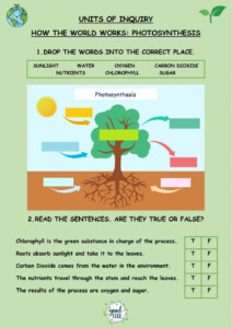 Photosynthesis Interactive Worksheet For 4th You Can Do The Exercises